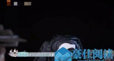 梁家辉道歉什么情况 梁家辉为什么道歉向谁道歉