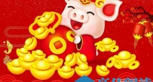 2019猪年招财头像 猪年微信招财头像图片
