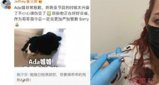 董又霖为狗狗咬伤蔡少芬道歉 蔡少芬回复已经原谅它了