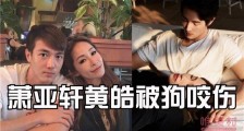 萧亚轩被狗咬伤真相曝光 疑似是和男友打架受伤