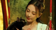 妖猫传杨贵妃原定是张雨绮 陈凯歌因为这个原因把她换掉