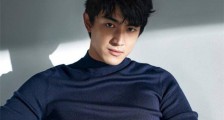 林更新王丽坤领证了吗 王丽坤已领证为传闻不足以取信