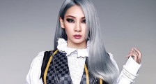 李彩琳撕Jennie粉丝咋回事 李彩琳为什么撕Jennie粉丝【最新】