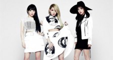 2ne1为什么解散 成员现状曝光李彩琳正面开撕Jennie粉丝【最新】