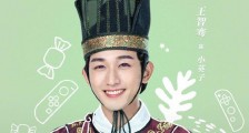 手可摘星辰小英子是谁演的 扮演者王智骞简历起底