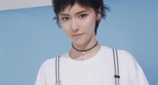 演员成果个人资料 凭诸葛大力一角圈粉简介不一般