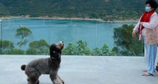 陈伟霆豪宅内景曝光 网友:是贫穷限制了俺的想象呢