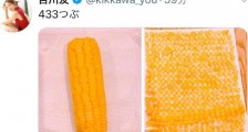 日本女爱豆在家数玉米粒 吉川友的宅家方式与众不同呀