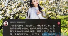 杨丽萍回应未婚未育争议 一番话大气又优雅并点赞陈数