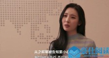 yg战资在哪可以看 yg战资的梗成真女艺人疯狂diss胜利