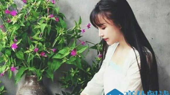 扒一扒李子柒 李子柒怎么什么都会有很假吗
