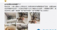 蓝洁瑛墓碑被熏黑受损是怎么回事 具体详情以及画面曝光