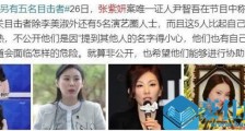 张紫妍案证人公开医疗记录 其中缘由被揭令人意想不到