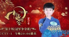 中国诗词大会陈滢是谁 陈滢个人资料背景曝光实力超群