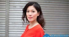林淑敏像蓝洁瑛真的吗 林淑敏和蓝洁瑛对比照令人意想不到
