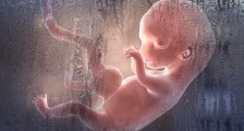 人类胎盘中首次发现微塑料污染,细微污染影响全球生态