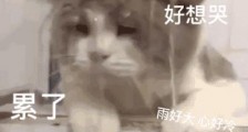 济南画室培训_济南小泽画室清明假期直播互动赢大奖@山东美术生,状元导师教你联考拿高分!