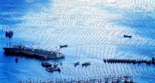 推进海上安全治理现代化，2020数字中国创新大赛助力智慧海洋建设