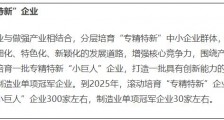 上海：到2025年“专精特新”小巨人企业增至300家