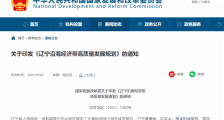 加快发展新一代信息技术产业,辽宁沿海经济带高质量发展规划出炉