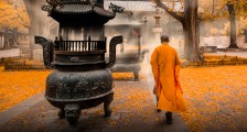 别爱太满,别睡太晚:寺庙的流量密码与新媒体生意经
