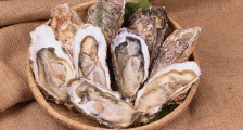 你以为你吃的是生蚝?其实还吃到了很多微塑料