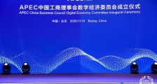 2020 年 APEC 工商领导人中国论坛聚焦数字生产力