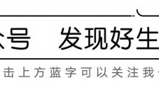 眉山天府新区:追赶跨越迈大步 经济发展奋争先