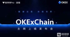 OKExChain主网上线,各路大佬献智“加密金融2021”