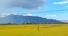 90后:那些不经意的“小确幸” 最为动人