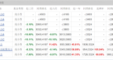 鹏华基金经理梁浩“绩优则仕” 3只基金近1月跌幅超10%