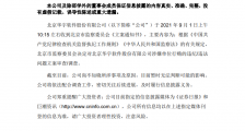 华宇软件因涉嫌行贿被立案，公司董事长因同样问题已被留置5个月