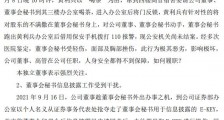 嘉应制药董秘徐胜利被解聘：此前被爆出遭到董事黄利兵“追打”