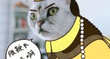 “鞭”长莫及是什么意思?鞭长莫及是什么梗?有什么内涵