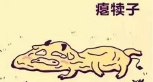 瘪犊子是什么意思?东北话瘪犊子玩意儿的意思 瘪字怎么读