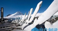 最荒凉地区南极洲：面积相当于1.5个中国却无1人定居 最低气温