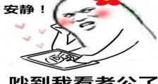 安静如鸡是什么梗?安静如鸡是什么意思 安静的像只鸡