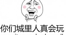 你们城里人真会玩是什么意思?“城会玩”是什么梗