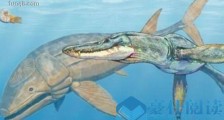有史以来最大的鱼类 侏罗纪利兹鱼长达27米