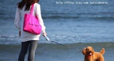 败犬女是什么意思?败犬女的特征性格及想法?典型的败犬女是怎样的