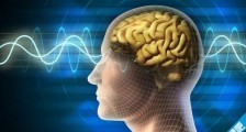 脑补是什么意思?脑补一下 自行脑补意思 脑补和补脑是一个意思吗