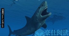 世界上最大鲨鱼 巨齿鲨碾压大白鲨 超过20米，重达70吨