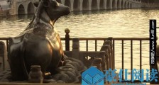 中国最大的镀金古铜牛 颐和园的古董铜牛