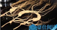 世界最昂贵的人参 长白山野人参曾达每盎司2.3万美元