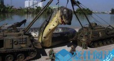 世界上最长的蛇 红海巨蛇长达500米 红海巨蛇杀害了600人
