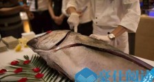 世界上最大的金枪鱼，蓝鳍金枪鱼最大可达1400斤重