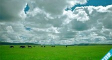 全球最优质的草原 呼伦贝尔草原被人们盛赞为北国碧玉