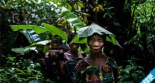 平均身高最矮的民族 姆布蒂人平均身高1.35米