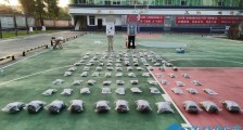 防城港警方查获国家二级保护动物制品海马干1.4万尾