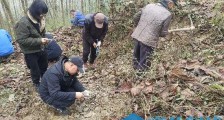 四川首个埋葬古生物群!乐山沙湾发现寒武纪早期化石库